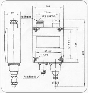 17054551446956.jpg 2.jpg